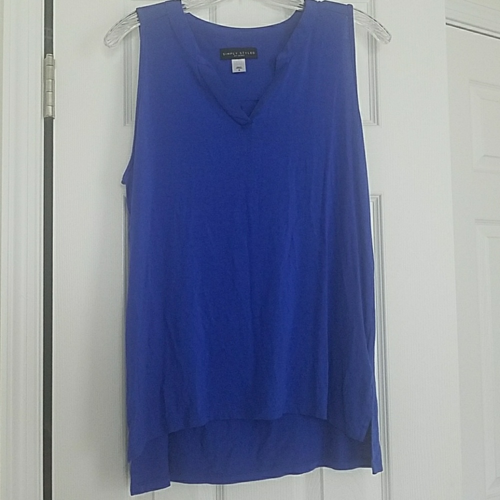Sears simply styled Blue top